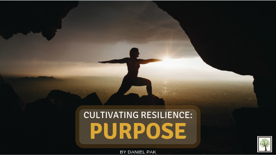 CULTIVATING RESILIENCE: Purpose