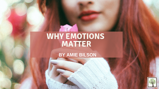 Why Emotions Matter