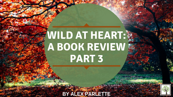 Wild at Heart: A Book Review – Part 3