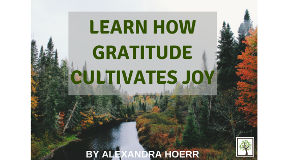 Learn How Gratitude Cultivates Joy