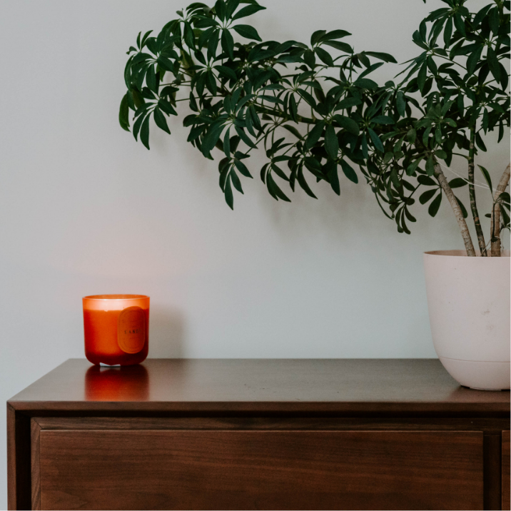 An orange candle burning on top of a desk next to a green potted plant.