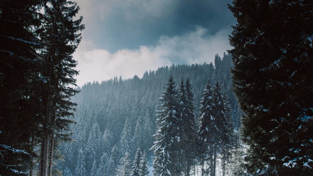 Snowy evergreen mountain range in Austria on a cloudy day
