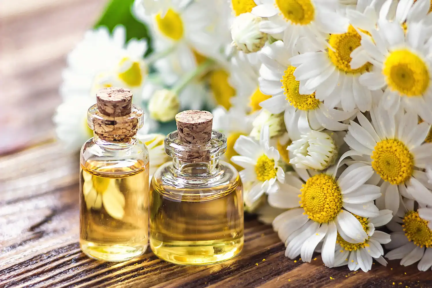 Chamomile essential oil for OCD management, small glass bottles with daisy flowers on wooden surface