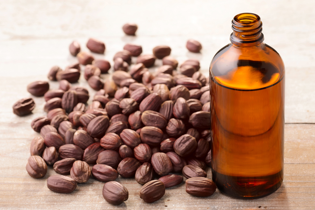 Jojoba carrier oil with seeds, natural base oil for blending essential oils in OCD support and aromatherapy