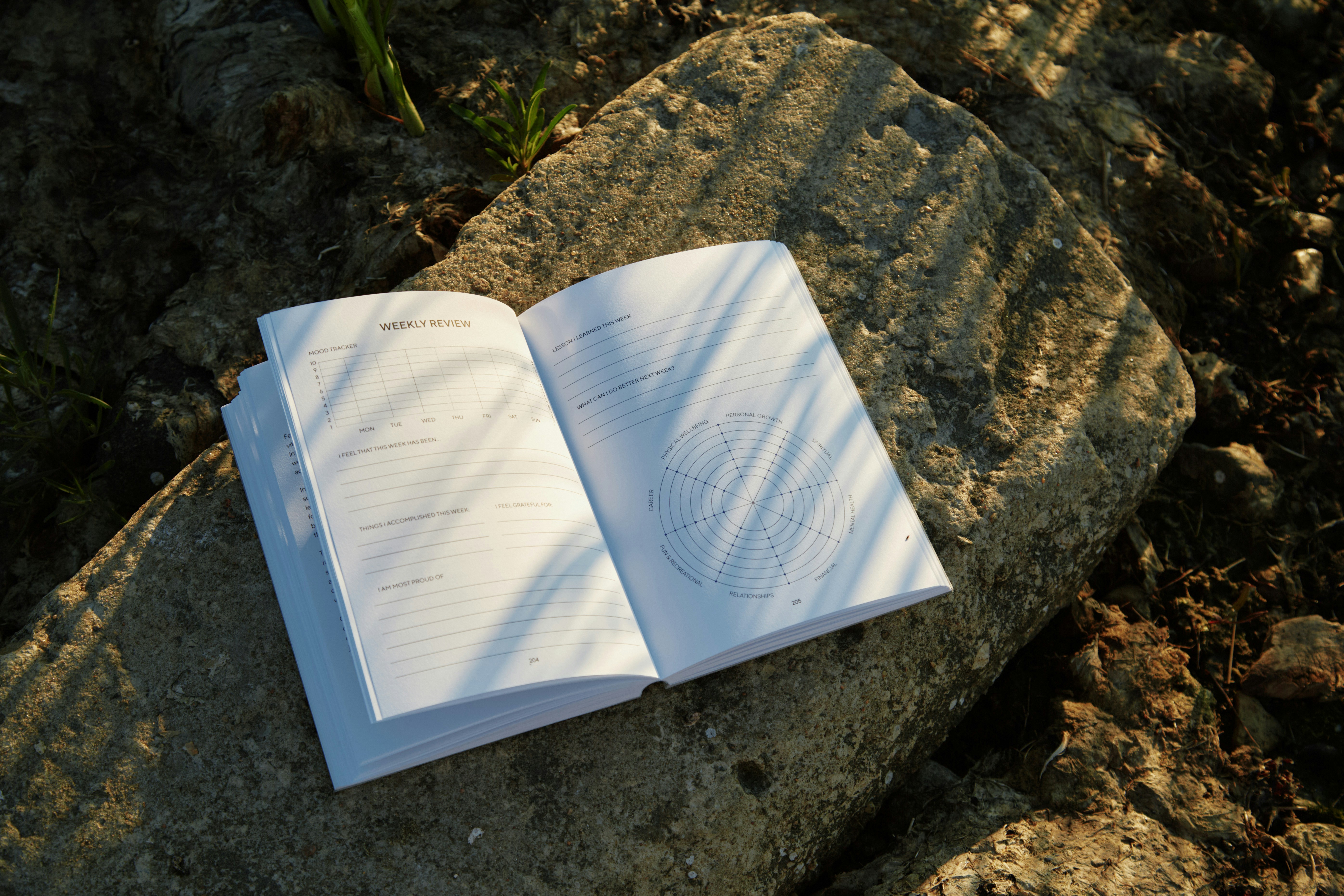 Open guided journal showing weekly review pages with prompts and mood tracker