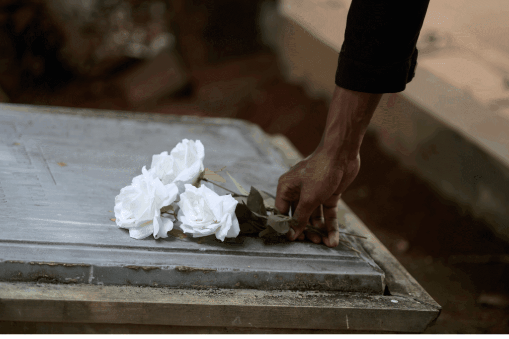 A white roses offered in a grave of someone who already passed away. 